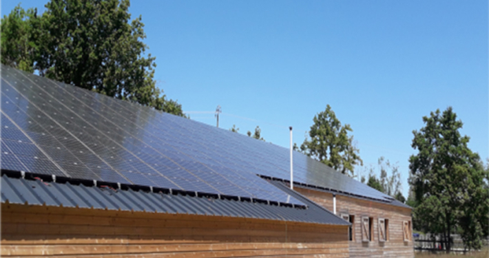 Panneaux photovoltaïques - Secteur Agricole - Asoleco à Saint Denis la Chevasse, Vendée (85) et Bressuire, Deux-Sèvres (79)